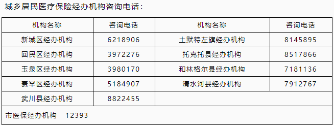 呼和浩特咨询