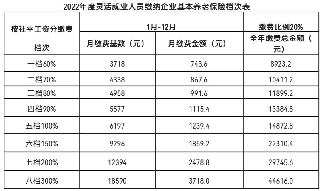 河池地区最新招聘动态解读