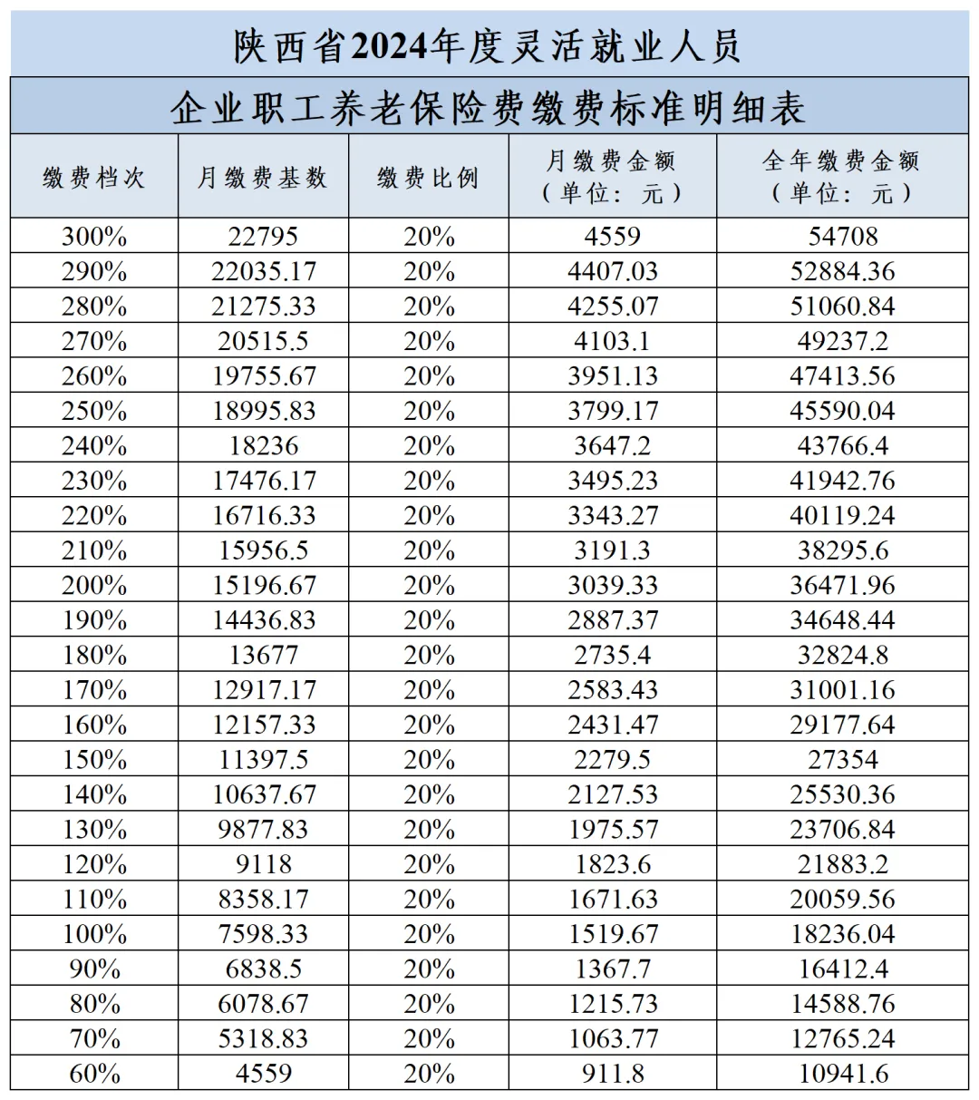 2022年社保缴费明细表图片