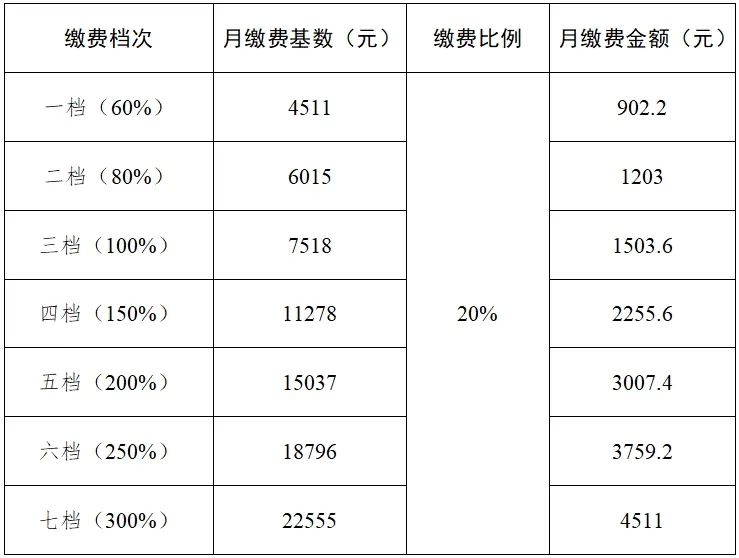 成都市关于执行2024年度四川省社会保险缴费基数上下限标准有关问题的