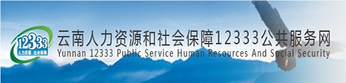 云南人社12333公共服务网