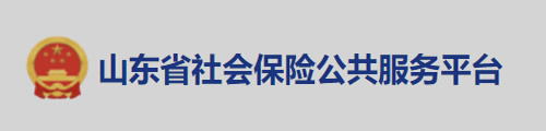 山东省社会保险公共服务平台
