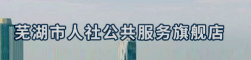 芜湖人社公共服务·社保网上办事大厅